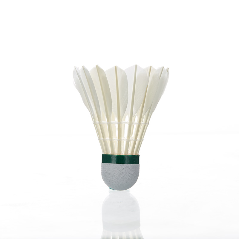 كاواساكي ريشة الريشة 8E المهني - مراجعة Badminton Event وسعره