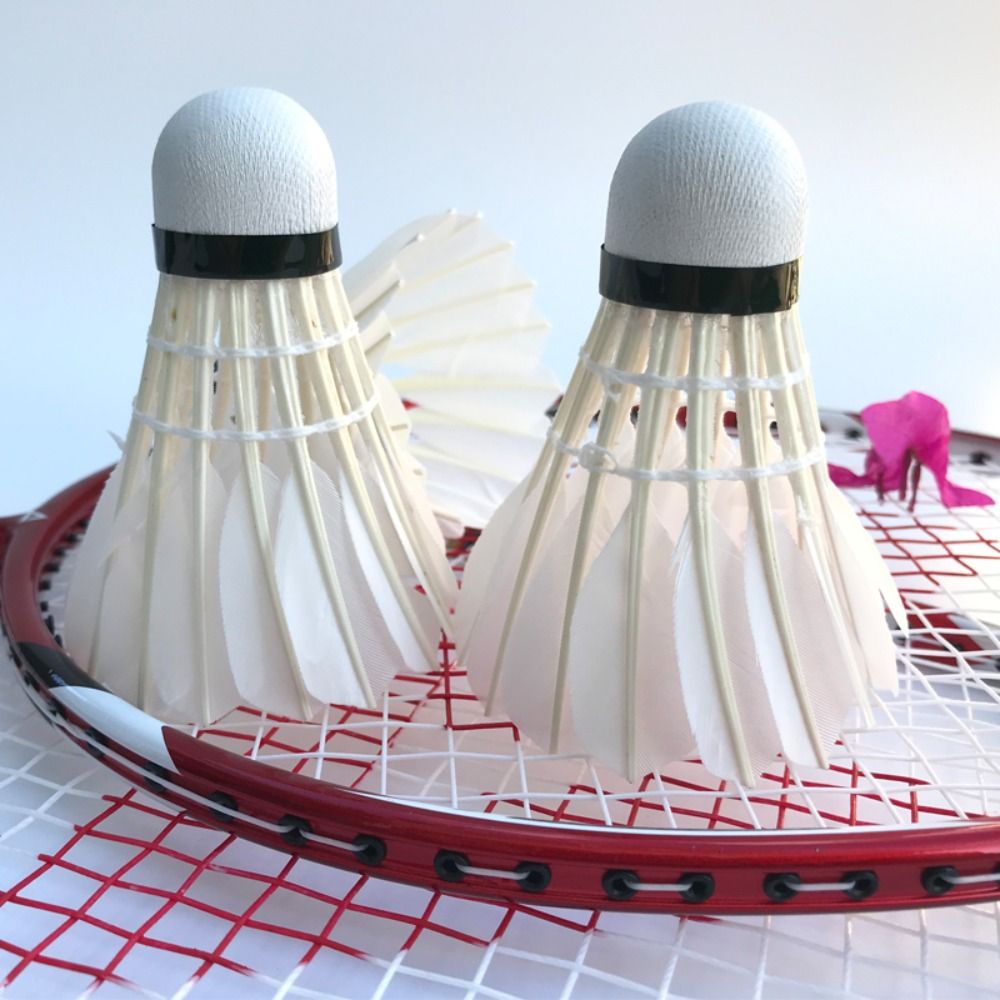 3/6/12 قطعة جديد الأبيض الريشة - مراجعة Badminton Event وسعره